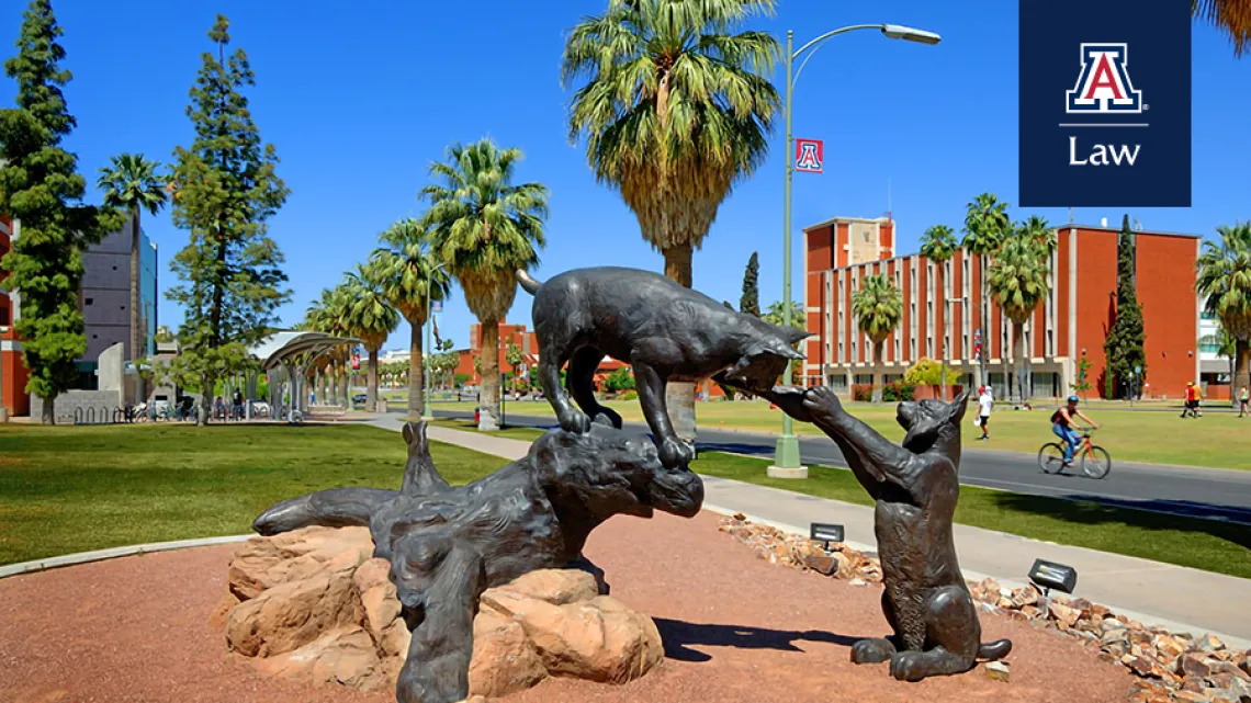 University of Arizona Wildcats Statue University of Arizona Wildcats Statue