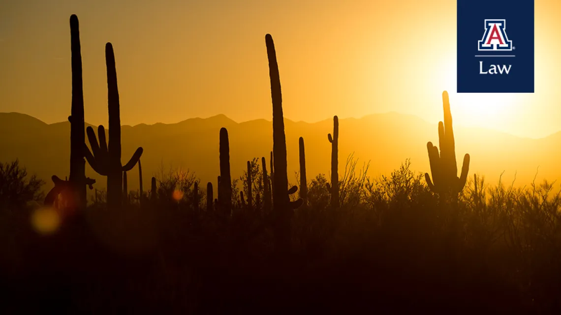 Desert Sunset Desert Sunset